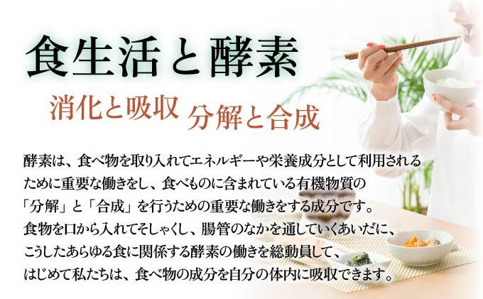 ＜大高酵素＞スーパーオータカ 60ml×6本セット 大高酵素 健康 飲料 原液 植物エキス醗酵飲料 美容 栄養 野菜 北海道 果物 植物 酵素 ファスティング 腸内環境 特許 保存 非常食 代用食 ダイエット 置き換え 送料無料 伊達市