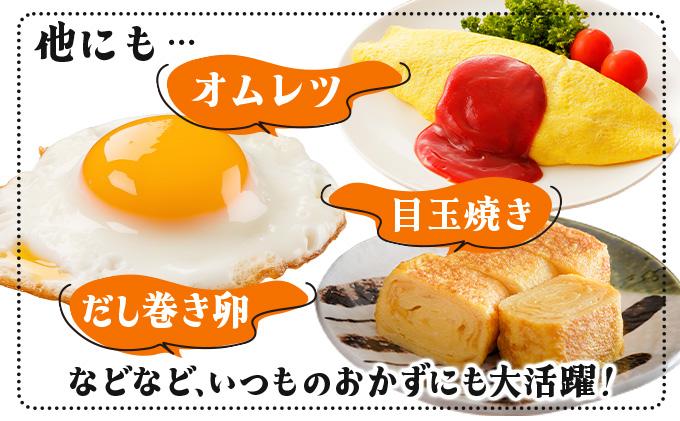 3ヵ月連続お届け  たまごの心 40個 Lサイズ  太陽の園  の平飼たまご  有精卵 北海道 伊達市 たまご 卵 生たまご 鶏卵 北海道産 鶏の卵 ポリスブラウン 食材 卵かけごはん TKG オムレツ オムライス 【農福連携】【tys-002】