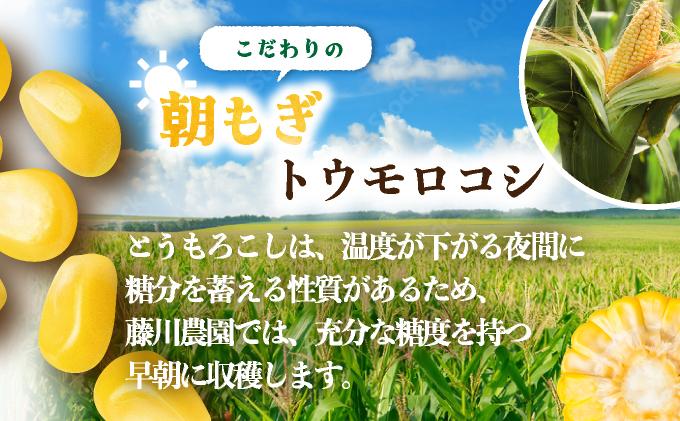 ＜2026年先行予約＞北海道産 朝もぎ とうもろこし 恵味 L-LLサイズ 約400g×15本 スイートコーン ゴールドコーン トウモロコシ とうきび コーン 旬 完熟 野菜 甘い おやつ 産地直送 お取り寄せ 北海道 送料無料 伊達 55250481