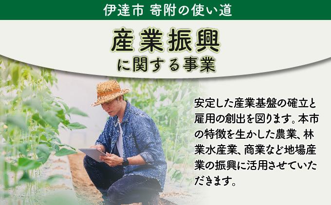 伊達市 寄附のみ 応援受付 2,000円コース（返礼品なし 寄附のみ 2000円）