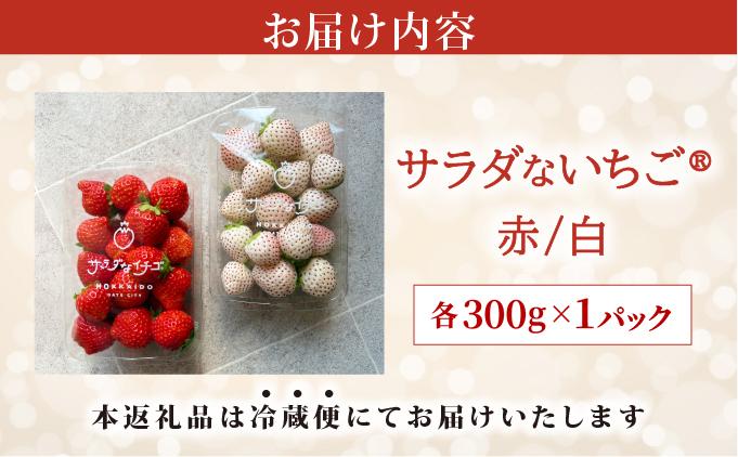 ＜2026年先行予約＞ サラダないちご（赤・白）ご褒美 苺 最旬 贈答 ギフト プレゼント 果物 フルーツ イチゴ 北海道 伊達【ecg-003】 赤・白