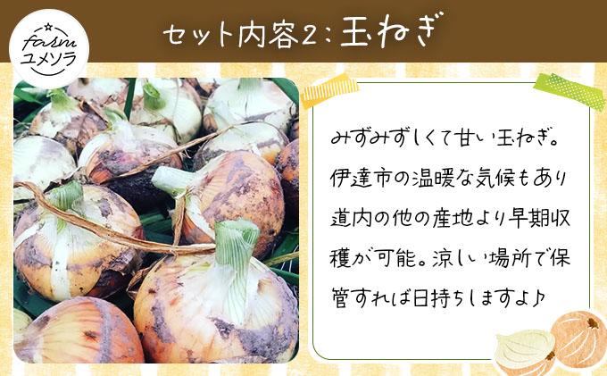 ◆2026年7月から順次出荷◆ farmユメソラ 大玉トマト＆玉ねぎセット 約5kg [famy-003]