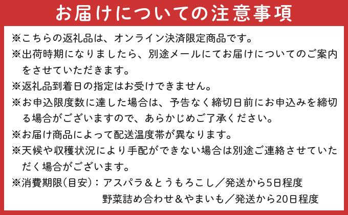 【先行予約】のぐち北湯沢ファームの年5回 定期便 グリーンアスパラ とうもろこし2種 野菜詰め合わせ やまいも ギフトセット 55251181