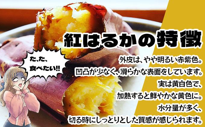 《高糖度》さつまいも 紅はるか 15kg 【産地直送】熟成 高糖度 サツマイモ 芋 甘い スイートヤバ芋 産地直送 北海道 伊達市 15kg