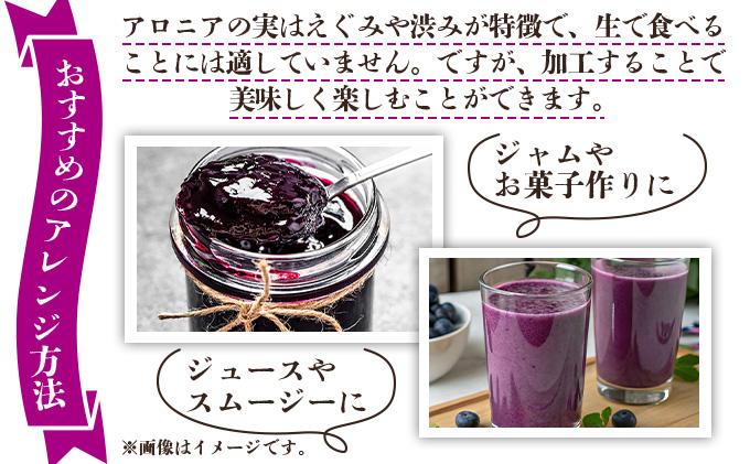 北海道伊達大滝産アロニア冷凍果実（加工用）