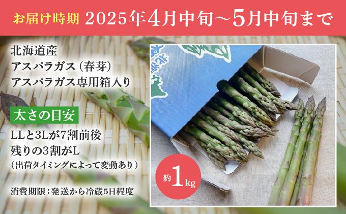 【2026年先行予約】太くてあまーい 北海道産 春芽 アスパラ (約1kg／LL中心＋3L・L混合) 先行予約 新鮮 採れたて直送 旬 野菜 あすぱら 農家直送 北海道 1kg