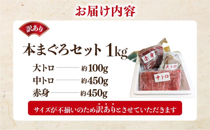 本マグロ（大トロ・中トロ・赤身）訳ありセット 1kg【ogm-025】 1kg