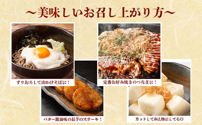 北海道 農園直送 長芋 5kg 北海道産 長いも 芋 ながいも とろろ 一本もの 新鮮 フレッシュ 伊達野菜 野菜 農作物 産直 山芋 麦とろ 山かけ サラダ ステーキ おつまみ おかず 贈答用 ギフト 化粧箱入り 送料無料