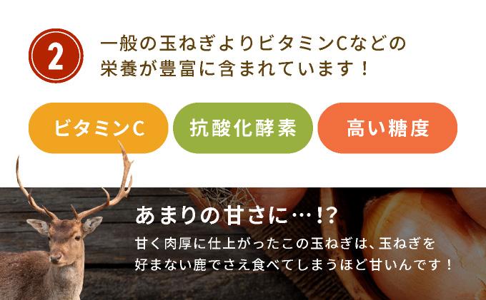 ※業務用※ 伊達産【えったま333】の炒め玉ねぎ ソテードオニオン 1kg×2袋（冷凍）