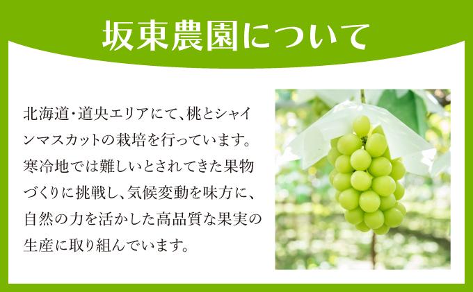 ＜先行予約＞シャインマスカット ５～7房（３kg以上）箱 ５～7房(３kg以上)