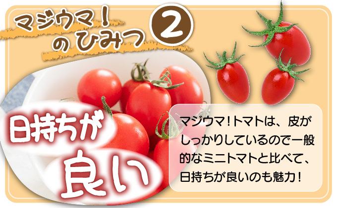 【2026年先行予約】北海道 伊達 岡本園芸 ミニトマト 高糖度 約2kg【マジウマ！トマト】 2kg