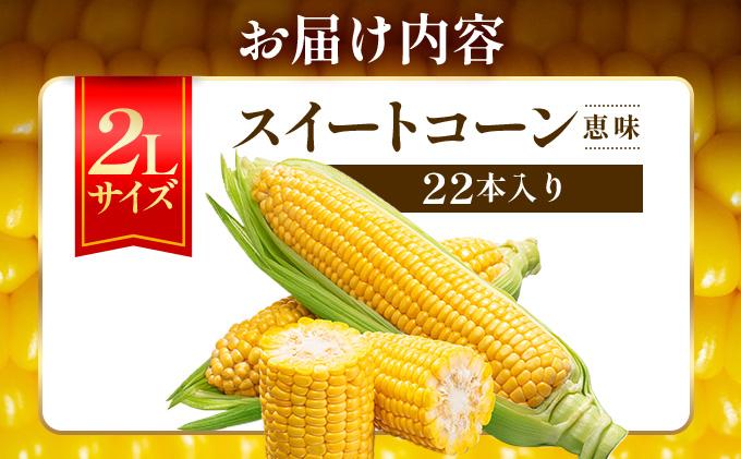 ＜2026年7月中旬〜順次お届け＞ スイートコーン・恵味（2Lサイズ）【dnk-003】とうもろこし コーン スイートコーン 野菜 伊達野菜 サラダ 北海道 伊達市