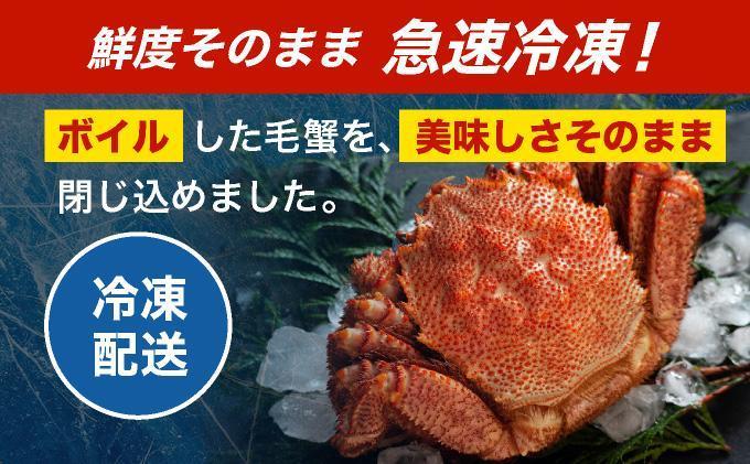 毛ガニ（姿身）Lサイズ 1尾 ogm-017 Lサイズ 1尾