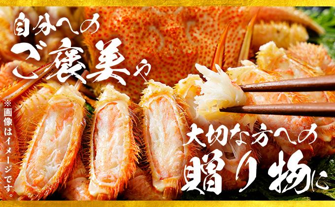 北海道 噴火湾産 冷凍 ボイル 毛がに 約300g×1尾 約300g×1尾