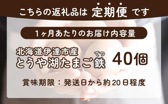 【3ヵ月 定期便】 北海道 伊達市 とうや湖 卵 鉄  40個 入り たまご 40個　3ヵ月 定期便