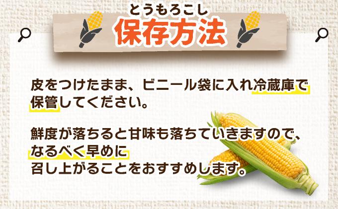 ＜先行予約＞北海道産 とうもろこし(恵味/ホイップコーン) 計20本【55250487】 トウモロコシ とうきび イエロー ホワイト コーン スイートコーン 旬 野菜 ふじいファーム