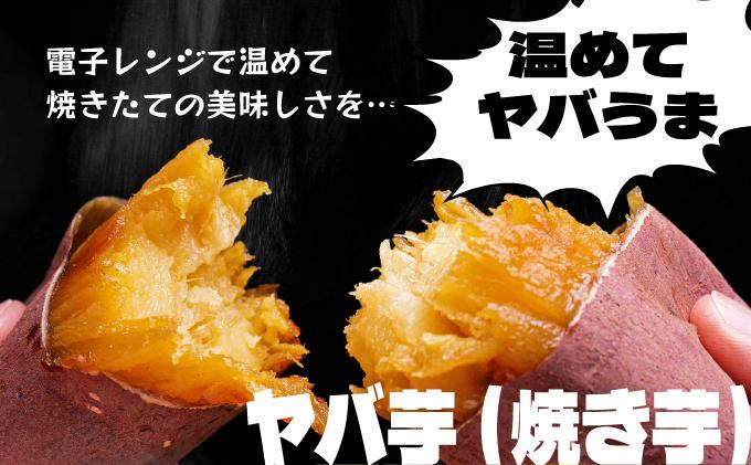 【2026年3月以降配送】焼き芋 冷凍ヤバ芋（紅はるか）500g×2 計1kg 500g×2 計1kg/紅はるか