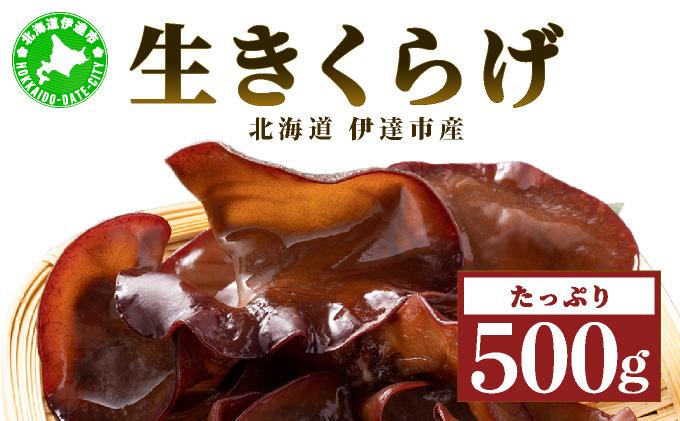湘南しいたけ 生 きくらげ 500g きくらげ 木耳 キクラゲ 生 ぷりぷり プリプリ こりこり コリコリ 栄養 ヘルシー ダイエット 中華  アレンジ スープ サラダ 新鮮 きのこ キノコ 弾力【農福連携】