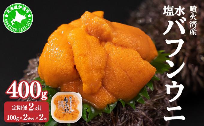 【定期便2カ月】北海道 噴火湾産 塩水 バフンウニ 100g 2パック うに ウニ 雲丹 海鮮 海の幸 魚介類 ウニ丼 お寿司 濃厚 無添加 産地直送 産直 お取り寄せ 山村水産 送料無料 【定期便2カ月】200g×2回