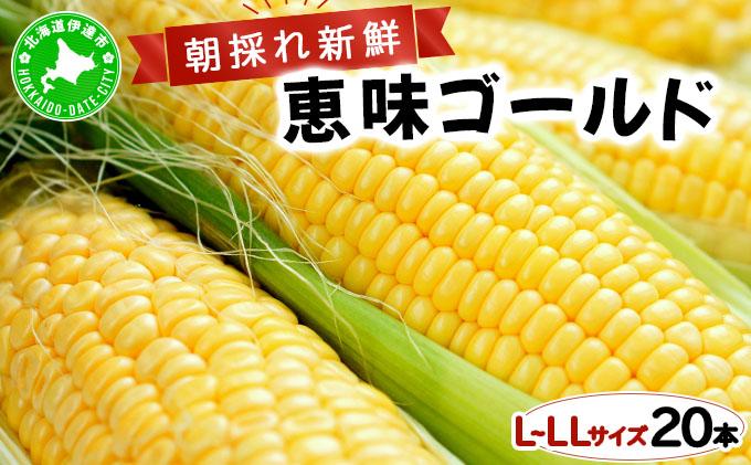 【 2026年先行予約】北海道 朝もぎ とうもろこし 恵味 ゴールド L-LLサイズ 20本 スイート コーン トウモロコシ とうきび 旬 完熟 野菜 採れたて 朝採り 甘い めぐみ 産地直送 道産 送料無料[55250829] 20本
