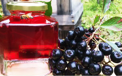 北海道伊達大滝産アロニアベリーの【赤いはちみつ】お試しセット「赤いはちみつのあるくらし」 約2.5g×8本入×2パック