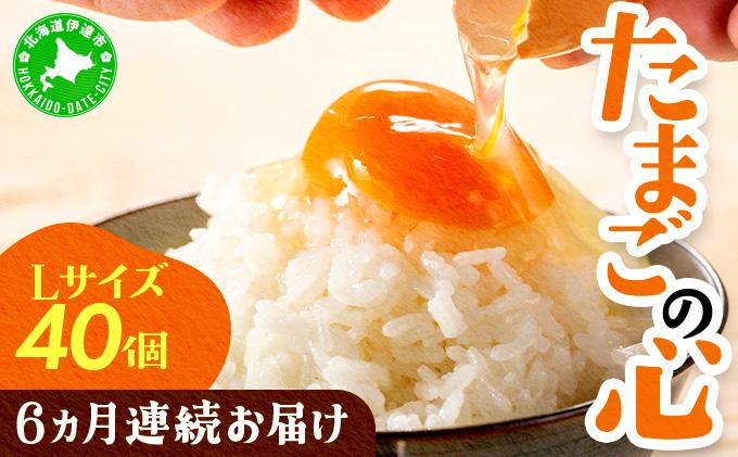 北海道産 6ヵ月連続お届け   たまごの心 40個 Lサイズ   太陽の園  の平飼たまご  有精卵 北海道 伊達市 たまご 卵 生たまご 鶏卵  鶏の卵 ポリスブラウン 食材 卵かけごはん TKG オムレツ オムライス 【農福連携】【tys-003】