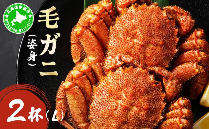 毛ガニ（姿身）Lサイズ 2尾 ogm-018 Lサイズ 2尾