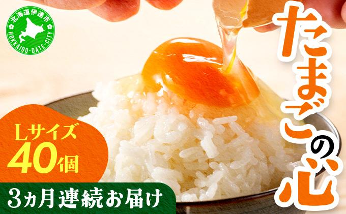3ヵ月連続お届け  たまごの心 40個 Lサイズ  太陽の園  の平飼たまご  有精卵 北海道 伊達市 たまご 卵 生たまご 鶏卵 北海道産 鶏の卵 ポリスブラウン 食材 卵かけごはん TKG オムレツ オムライス 【農福連携】【tys-002】
