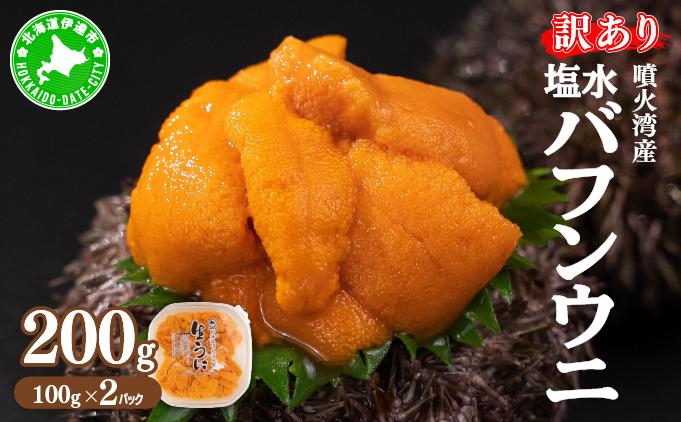 訳あり 北海道 噴火湾産 塩水 バフンウニ 100g 2パック 計200g うに ウニ 雲丹 海鮮 海の幸 魚介類 ウニ丼 お寿司 濃厚 無添加 産地直送 お取り寄せ 山村水産 送料無料 200g