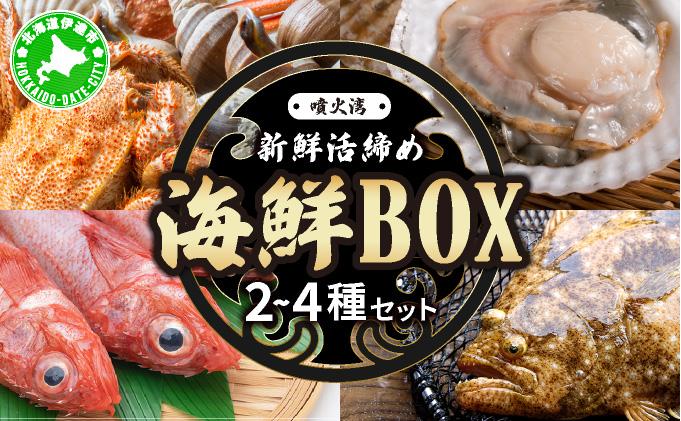 北海道 伊達　噴火湾 水揚げ 今野水産 新鮮 活締め 海鮮 BOX 2～4種セット