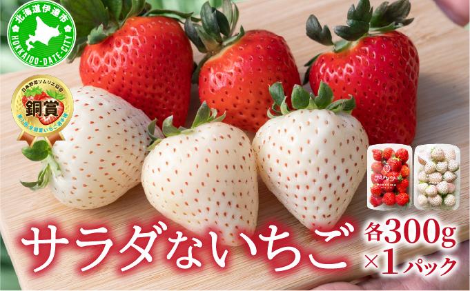 ＜2026年先行予約＞ サラダないちご（赤・白）ご褒美 苺 最旬 贈答 ギフト プレゼント 果物 フルーツ イチゴ 北海道 伊達【ecg-003】 赤・白