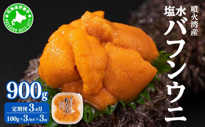 【定期便3カ月】北海道 噴火湾産 塩水 バフンウニ 100g 3パック うに ウニ 雲丹 海鮮 海の幸 魚介類 ウニ丼 お寿司 濃厚 無添加 産地直送 産直 お取り寄せ 山村水産 送料無料 【定期便3カ月】300g×3回