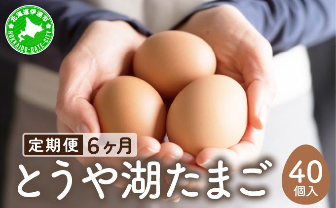 【6ヵ月 定期便】 北海道 伊達市 とうや湖 卵  40個 入り たまご 40個　6ヵ月 定期便