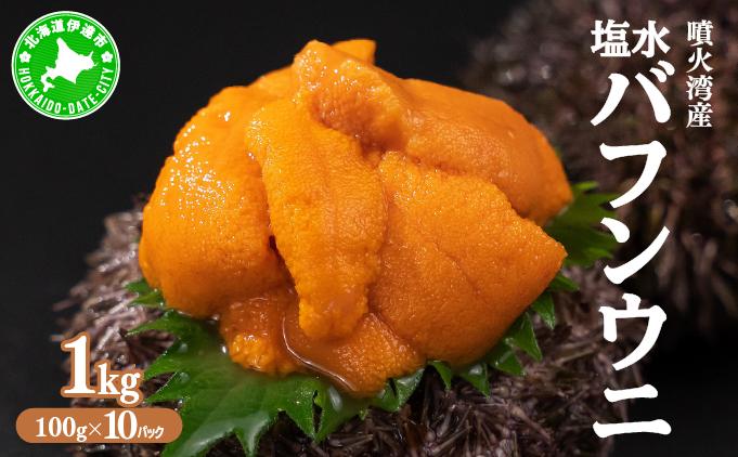 北海道 噴火湾産 塩水 バフンウニ 100g 10パック 計1kg うに ウニ 雲丹 海鮮 海の幸 魚介類 ウニ丼 お寿司 濃厚 無添加 産地直送 お取り寄せ 山村水産 送料無料 1kg