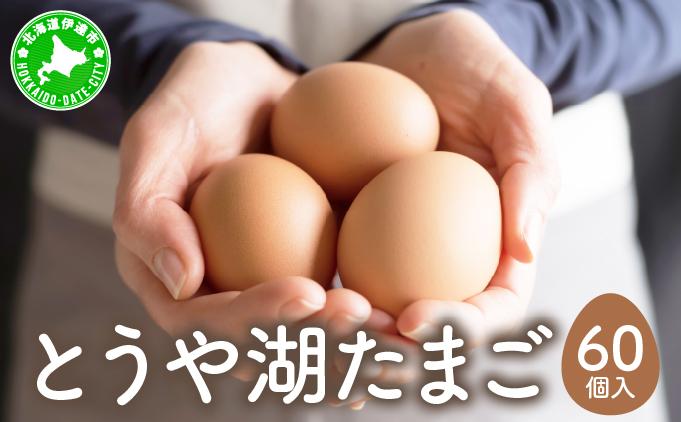 北海道 伊達市 とうや湖 卵  60個 入り たまご 60個　通常配送