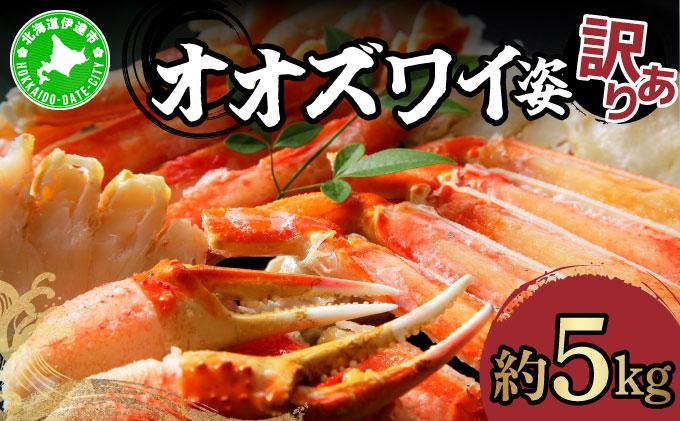 オオズワイ姿（訳あり品）5kg｜かに カニ ズワイガニ オオズワイ【ysk-003】 5kg