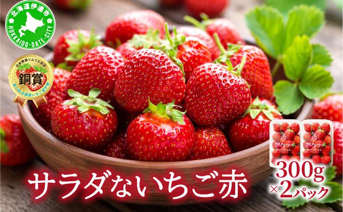 ＜2026年先行予約＞ サラダないちご（赤）ご褒美 苺 最旬 贈答 ギフト プレゼント 果物 フルーツ イチゴ 北海道 伊達【ecg-002】 赤