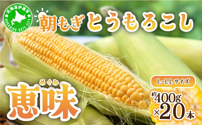 ＜2026年先行予約＞北海道産 朝もぎ とうもろこし 恵味 L-LLサイズ 約400g×20本 スイートコーン ゴールドコーン トウモロコシ とうきび コーン 旬 完熟 野菜 甘い おやつ 産地直送 お取り寄せ 北海道 送料無料 伊達 55250482