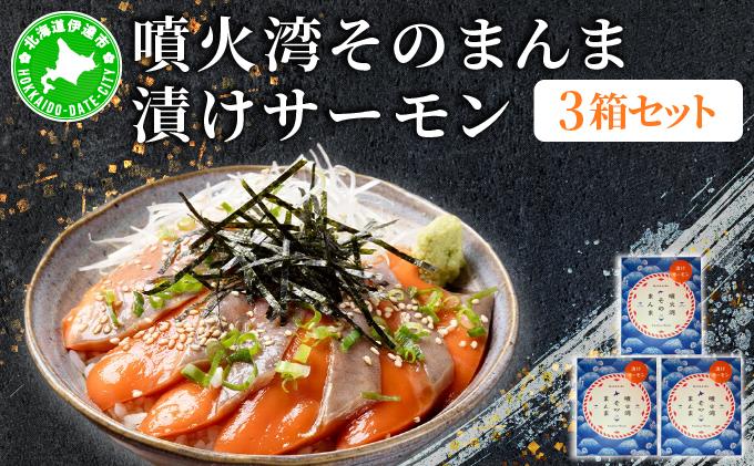 噴火湾そのまんま 漬けサーモン(わさび・醤油・海苔付き)3箱 旬菜一鮮 だて大和屋 厳選 魚介 海鮮 刺身 刺し身 小分け 新鮮 魚介類 魚貝類 加工食品 贈答 ギフト 贈り物 ご褒美