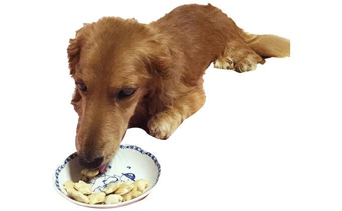 【手作り】 犬のクッキー 紫いも 3袋セット 犬のおやつ ペット 北海道 伊達市 【農福連携】