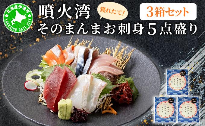 噴火湾そのまんま お刺身5点盛り(わさび・醤油付き)3箱 旬菜一鮮 だて大和屋 厳選 魚介 海鮮 刺身 刺し身 小分け 新鮮 魚介類 魚貝類 加工食品 贈答 ギフト 贈り物 ご褒美
