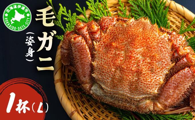 毛ガニ（姿身）Lサイズ 1尾 ogm-017 Lサイズ 1尾