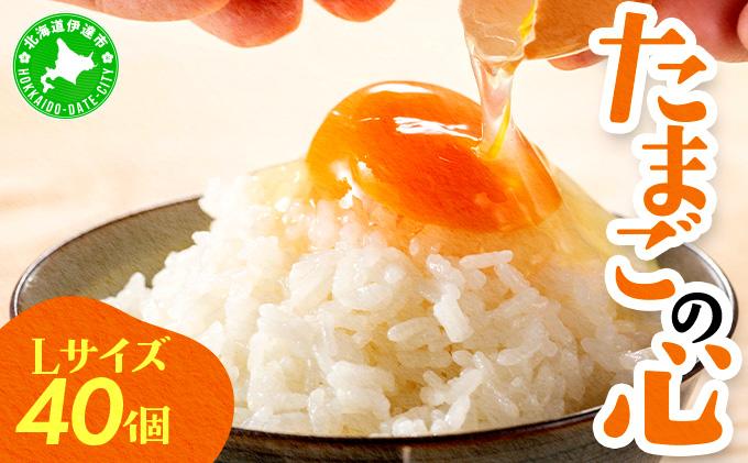 北海道 たまごの心 40個 Lサイズ 太陽の園 平飼たまご 有精卵 たまご 卵 生たまご 鶏卵 北海道産 鶏の卵 ポリスブラウン 食材 卵かけごはん TKG オムレツ オムライス タンパク質 ゆで卵 よく使う食材 万能食材 【農福連携】【tys-001】