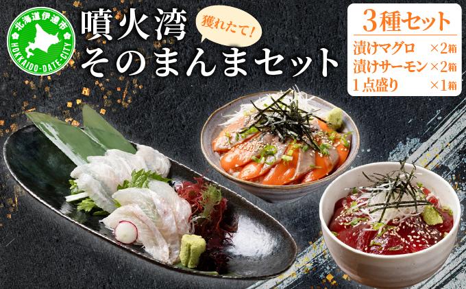 噴火湾そのまんま 漬けマグロ2箱、漬けサーモン2箱、お刺身1点盛り1箱の計5箱 旬菜一鮮 だて大和屋 厳選 魚介 海鮮 刺身 刺し身 小分け 新鮮 魚介類 魚貝類 加工食品 贈答 ギフト 贈り物 ご褒美