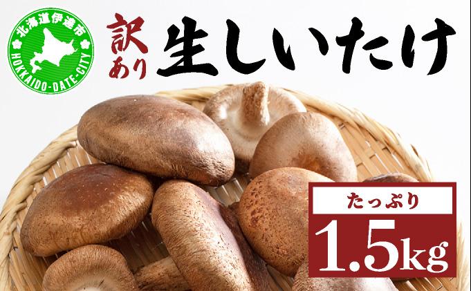 訳あり 湘南しいたけ 生 しいたけ 1.5kg 規格外 訳アリ しいたけ シイタケ 椎茸 きのこ キノコ ヘルシー 栄養 肉厚 ジューシー フレッシュ 国産 産地直送 アレンジ BBQ バーベキュー 北海道 伊達市【農福連携】