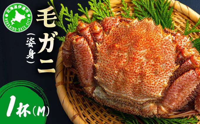 毛ガニ（姿身）Mサイズ 1尾 ogm-015 Mサイズ 1尾