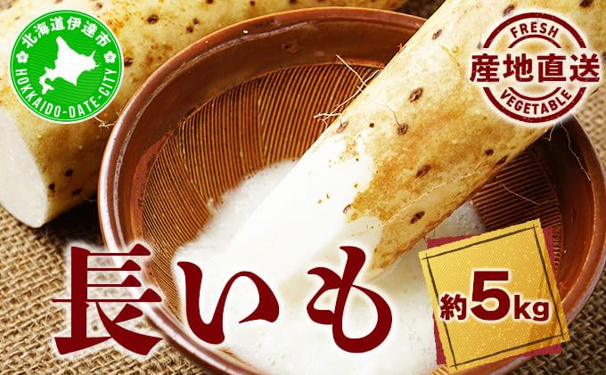 北海道 農園直送 長芋 5kg 北海道産 長いも 芋 ながいも とろろ 一本もの 新鮮 フレッシュ 伊達野菜 野菜 農作物 産直 山芋 麦とろ 山かけ サラダ ステーキ おつまみ おかず 贈答用 ギフト 化粧箱入り 送料無料