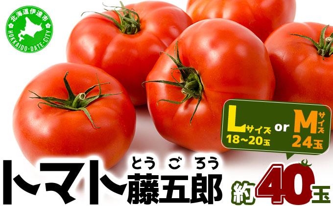 【2026年 発送 】 先行予約 北海道 伊達 トマト 藤五郎  約 40 玉 M ～ L サイズ とまと 新鮮 ジューシー 産地直送