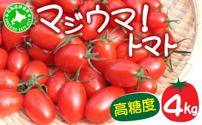 【2026年先行予約】北海道 伊達 岡本園芸 ミニトマト 高糖度 約4kg【マジウマ！トマト】 4kg