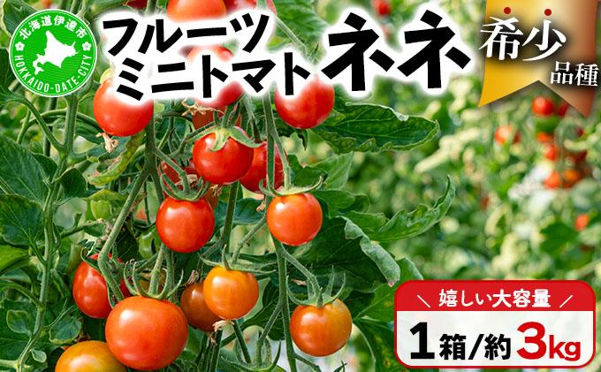 【2026年先行予約】北海道産 ミニトマト ネネ 約3kg フルーツトマト プチトマト 甘い 濃厚 彩り 鮮やか 希少 お中元 お歳暮 暑中見舞い 帰省土産 ご自宅用 産地直送 大滝農園 送料無料 北海道［55250524］ 約3kg